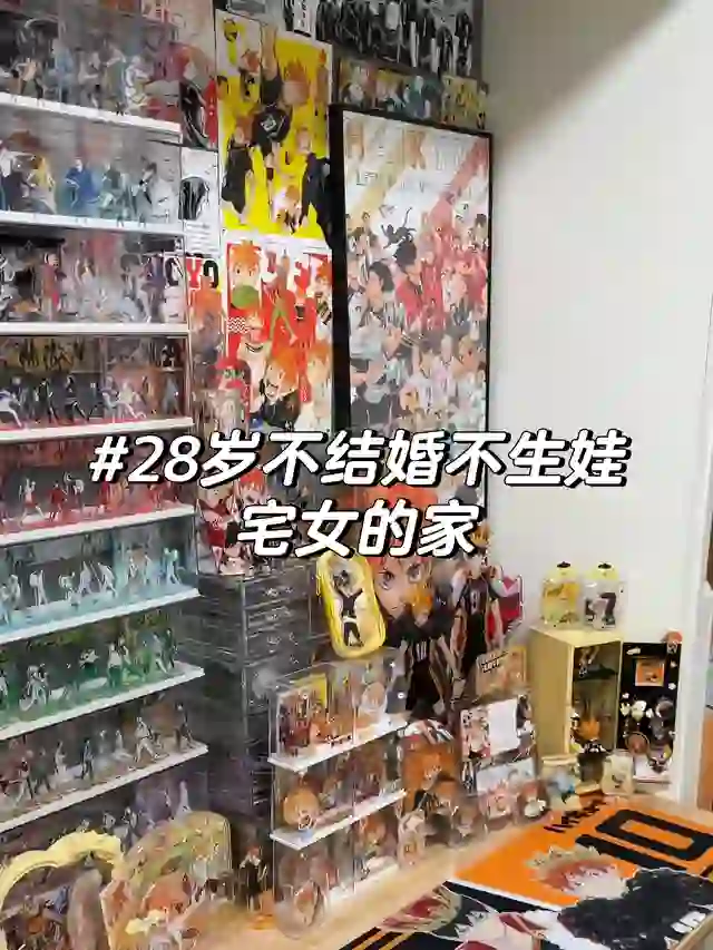 28岁不结婚不生娃宅女的家