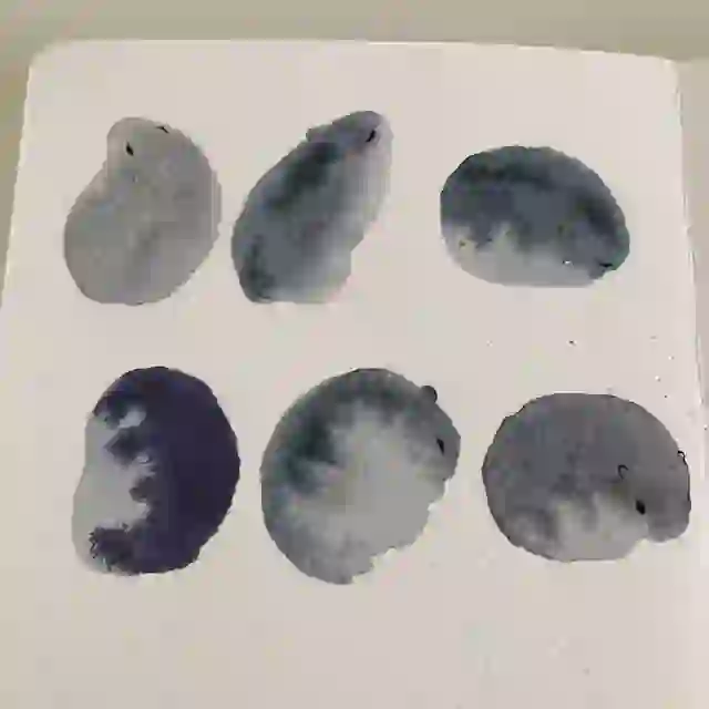 aha仓鼠也是艺术｜水彩画中的仓鼠